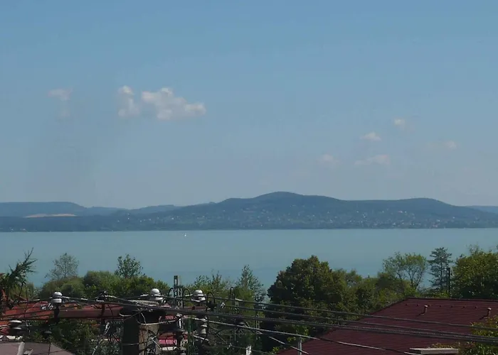 In - Balaton 18627 *